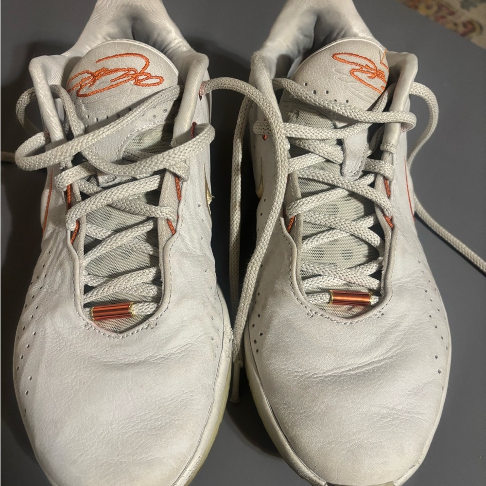 Men’s LeBron Nike sneakers